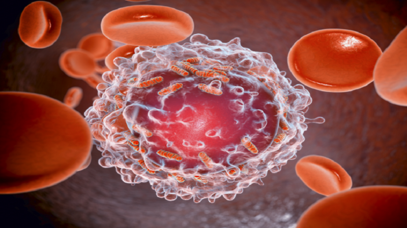 # How to Avoid Cancer?