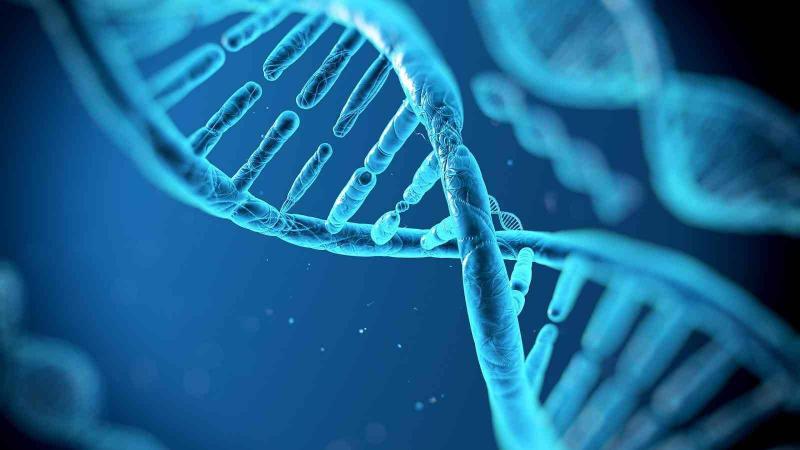 Shocking Information... Genes That Control Your Age