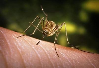 Danger Greater than Corona: Warning of a New Pandemic Set to Sweep the World