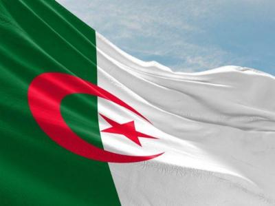 The Libyan Crisis... Algeria Calls for Restraint