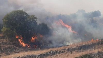 The High Cost of War on Farmers and Delayed Compensation