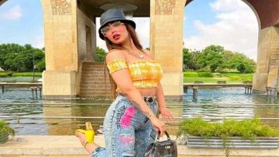 Pornographic Video: Who is the Person Appearing with Hadeer Abdel Razek?