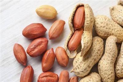 Australia Launches First Oral Treatment for Peanut Allergy
