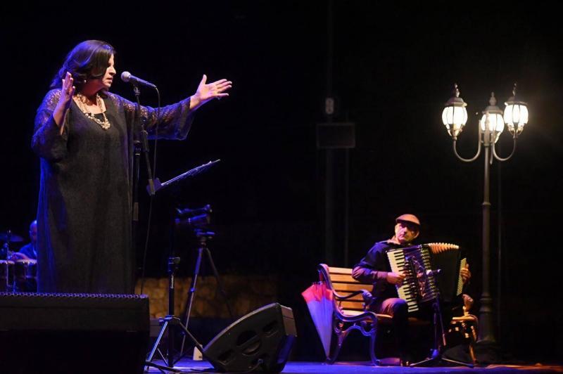 A Captivating Artistic Evening... Jaheda Wahbe Illuminates Douma Nights