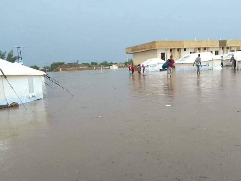 Unprecedented Rain in Egypt... A Positive or Negative Phenomenon?