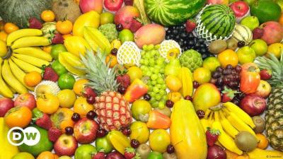 Foods That Help with Weight Loss… Discover Them