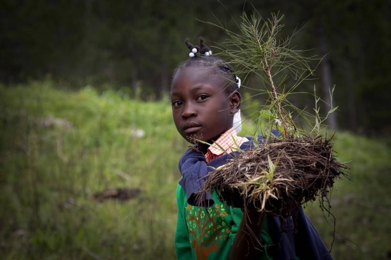 Inspirational African Women Leaving Their Marks in Various Fields