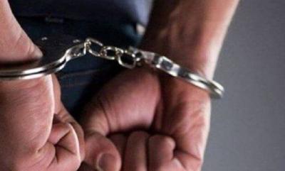 Title: In the North... Arrest of a Forged Documents Network!