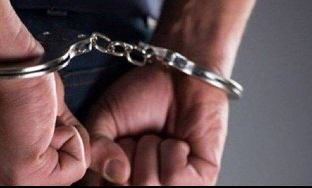 Drug Trafficking Arrest and Seizure