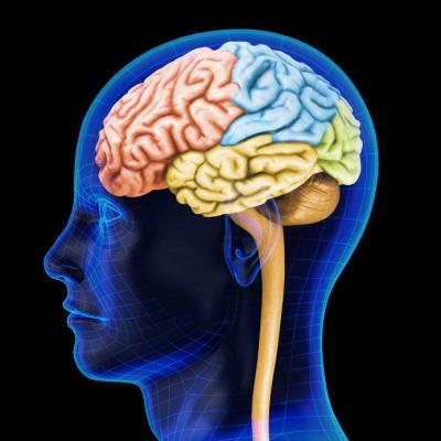 Scientists Sound the Alarm on “Brain-Eating” Infection: What’s the Story?