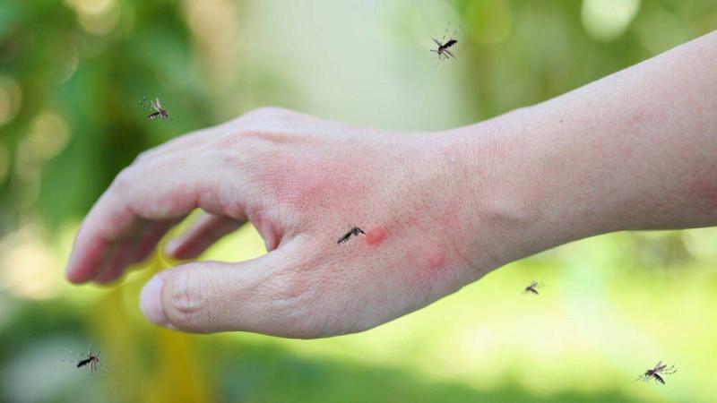 Spain Reports 9 Cases of West Nile Fever