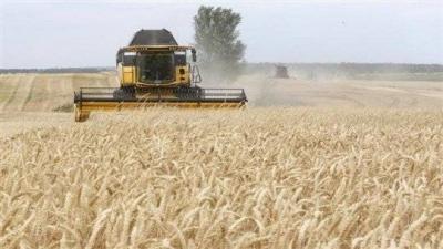 سفينة سورية ترسو في لبنان... وحبوب مسروقة من أوكرانيا