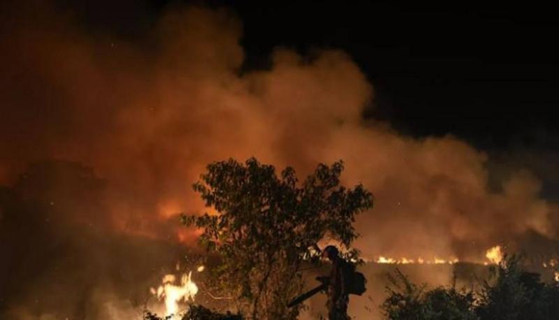 Turkey Fights Fires... and the Arrest of 7 People in Izmir