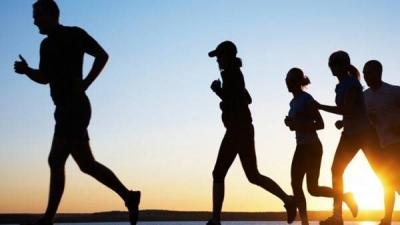 What is the Ideal Amount of Exercise Daily?