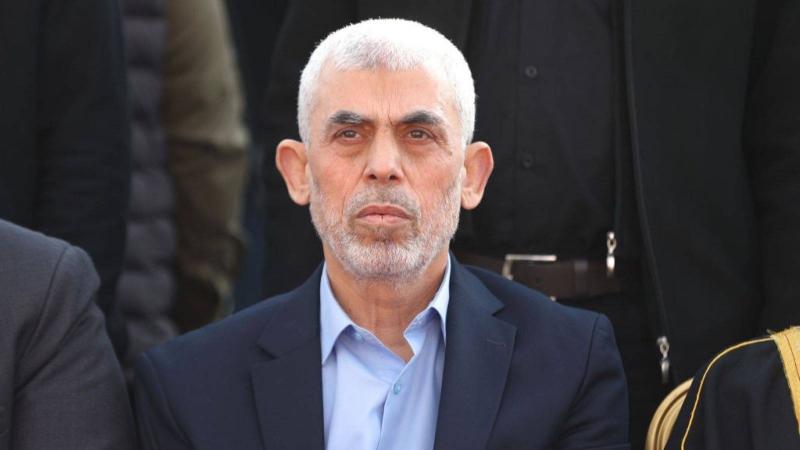 هل تستمر المقاومة.. أبو الغيط: مقال أميركي يجيب