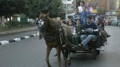عربات خيول في شوارع مصر مع ارتفاع البنزين... ما القصة؟