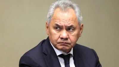 شويغو يزور الإمارات ويلتقي محمد بن زايد