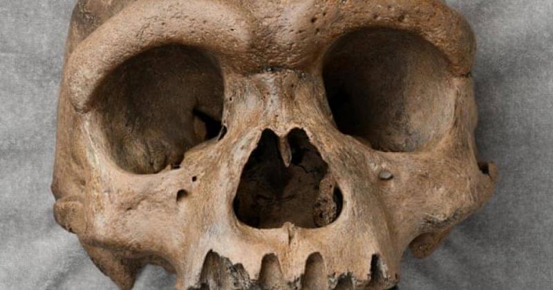 اكتشاف جمجمة مراهقة في جدار منزل يحل لغزًا عمره قرون
