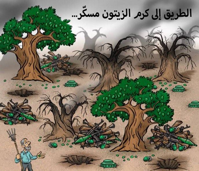 أدرعي: تجنبوا حقول الزيتون الخاصة بكم