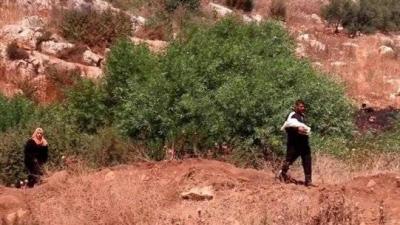 حركة تهريب من نوع جديد... ومئة دولار على الراكب