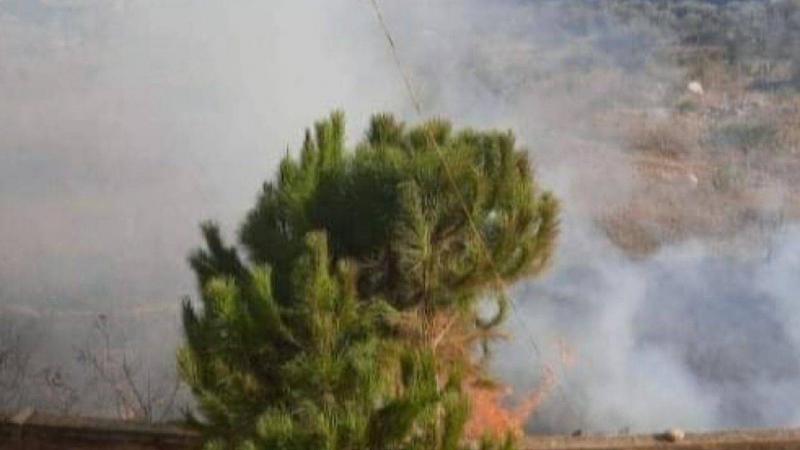 بالفيديو... حريق كبير في أبي سمراء