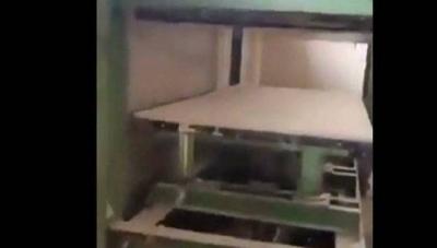 الكشف عن مكبس لطحن الجثث في سجن صيدنايا (فيديو)