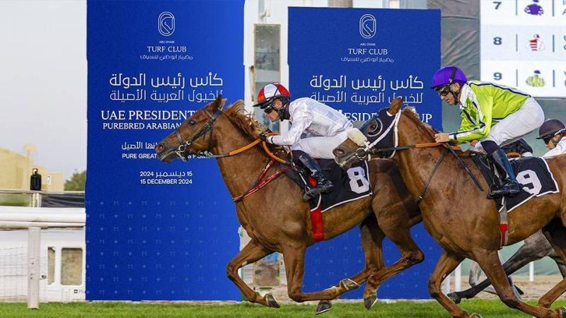 في أبوظبي.. انطلاق سباق كأس رئيس الدولة للخيول العربية