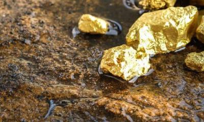 حمى الذهب في غانا... من الغفير الى الوزير