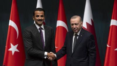 أمير  قطر وأردوغان بحثا الأوضاع في غزة والأراضي المحتلة وسوريا