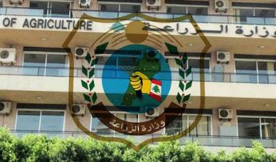 “الزراعة”: لا انتشار للأمراض أو نفوق غير طبيعي للطيور في عكار