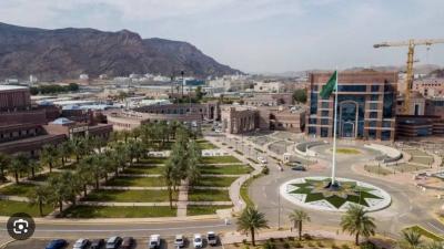 جامعة طيبة في المدينة المنورة تسجل براءتي اختراع علميتين