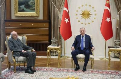 أردوغان يستقبل جنبلاط في أنقرة (صور)