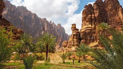 ارتفاع مساحة المحميات البرية والبحرية في السعودية
