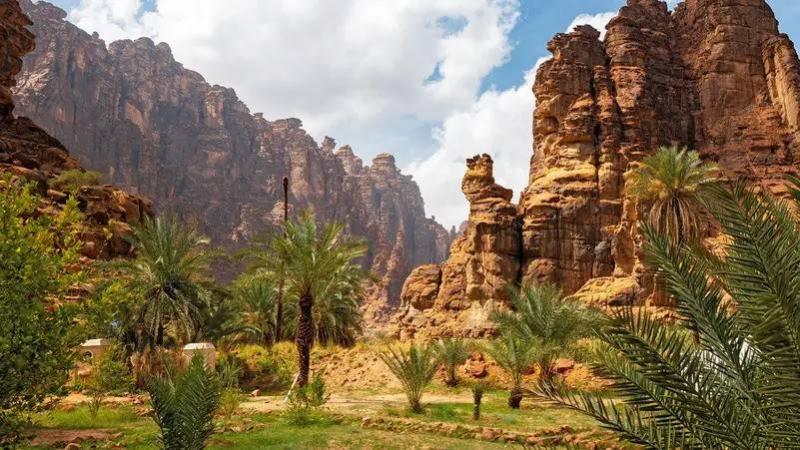 ارتفاع مساحة المحميات البرية والبحرية في السعودية