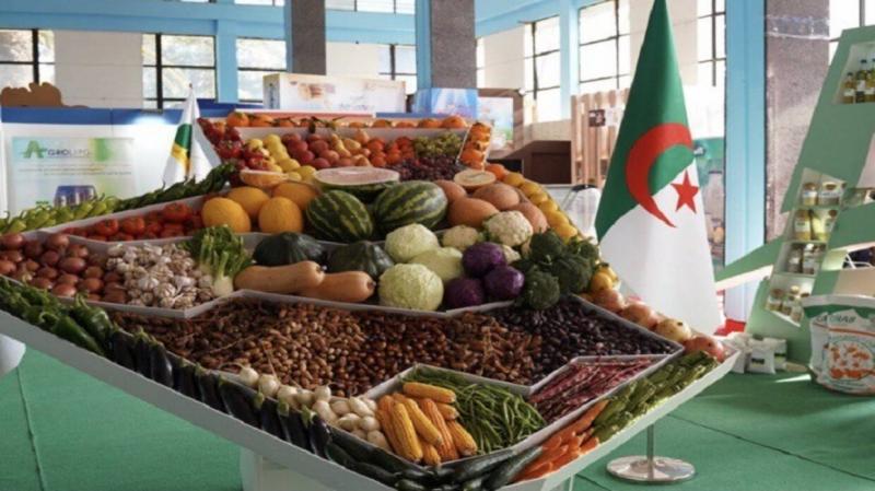 إنطلاق أول شحنة من المواد الغذائية الجزائرية نحو كندا وأوروبا