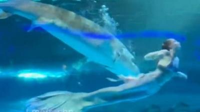 فيديو صادم.. سمكة تعض رأس حورية بحر في الصين!
