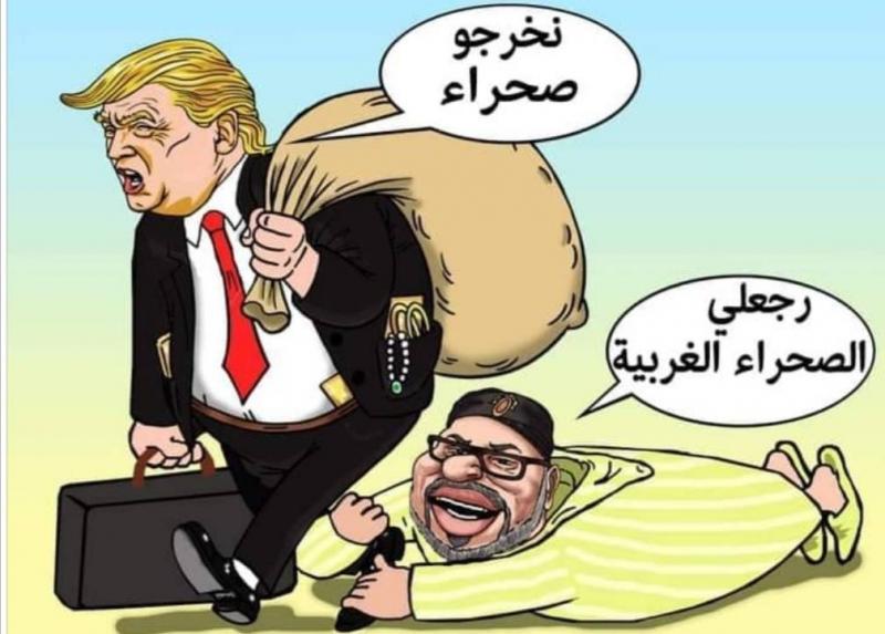 ماذا يعني حذف قرار ترامب حول الصحراء الغربية من موقع البيت الأبيض؟
