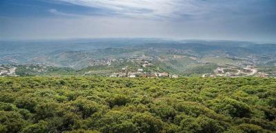 عملية تفجير في بليدا