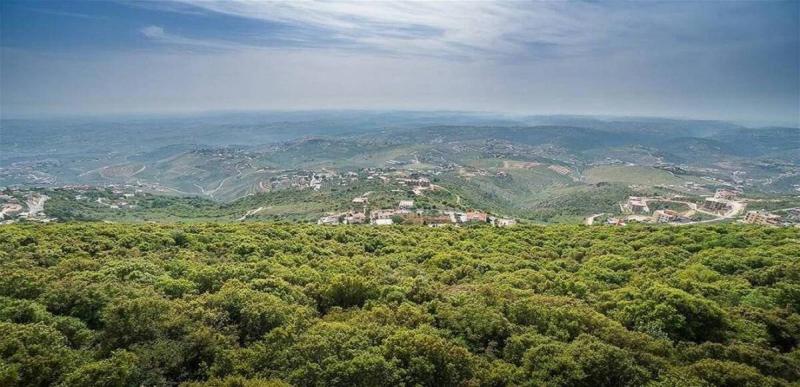 عملية تفجير في بليدا
