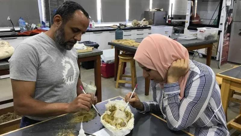 العثور على كائنات مفترسة ومنقرضة استوطنت مصر قبل 30 مليون عام