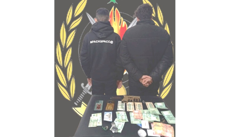 توقيف سارقين