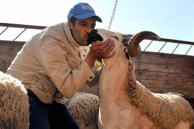 ترحيب واسع بقرار إلغاء شعيرة 