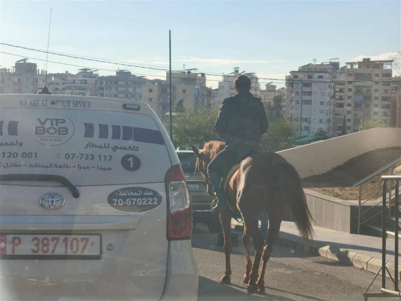 بالفيديو... 