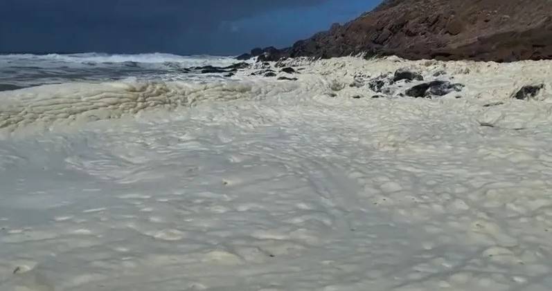 رغوة غريبة وأسماك نافقة تغزو شواطئ أستراليا... أمر مثير للقلق