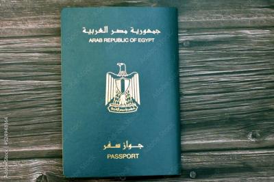 مصر تسقط الجنسية عن مواطنين التحقوا بجيوش أجنبية