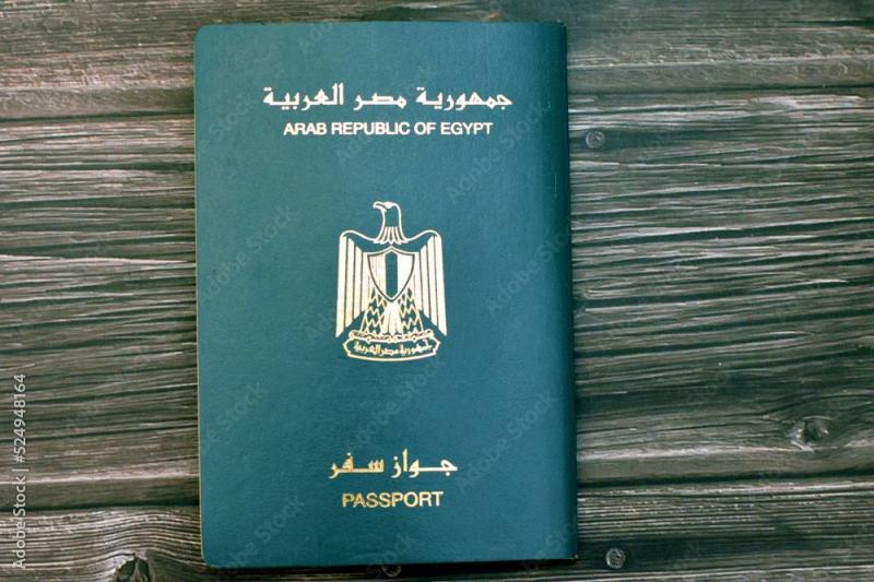 مصر تسقط الجنسية عن مواطنين التحقوا بجيوش أجنبية