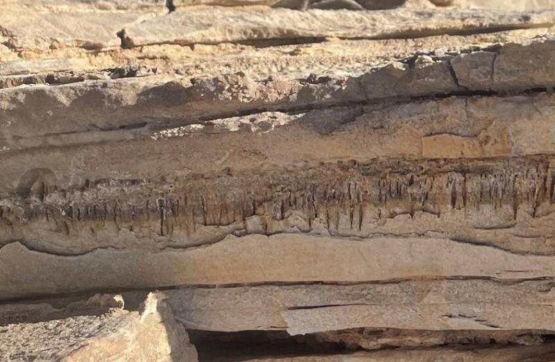 بالصور - اكتشاف آثار حياة مجهولة  بالصخور الصحراوية في عمان والسعودية وناميبيا