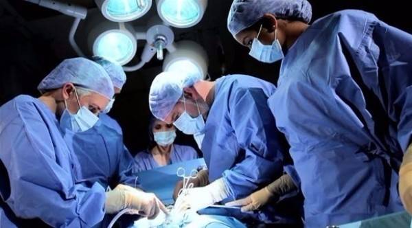 باحثون صينيون يزرعون كبد خنزير للمرة الأولى في جسم إنسان