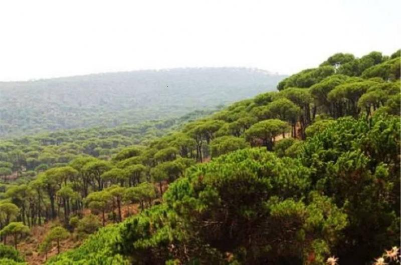 إعلان حالة الطوارئ البيئية في لبنان