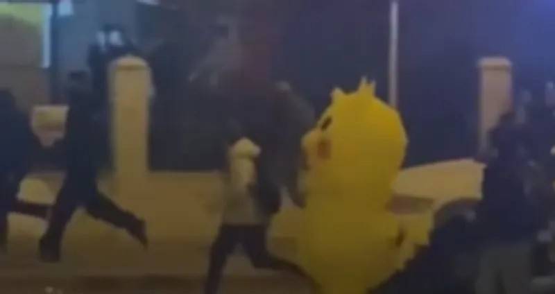 بالفيديو... 